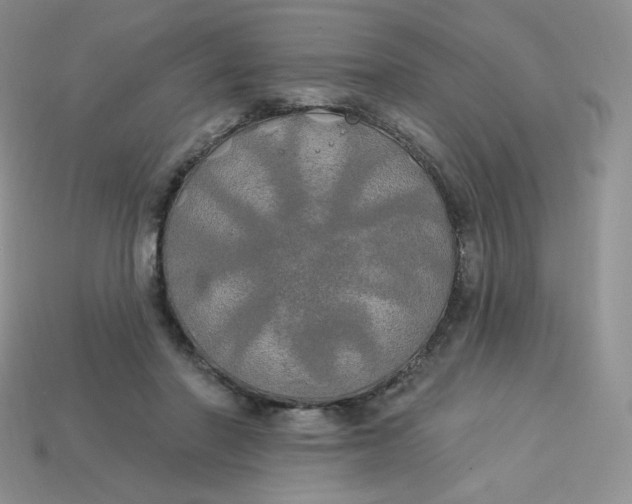 X0000113920406200910151444