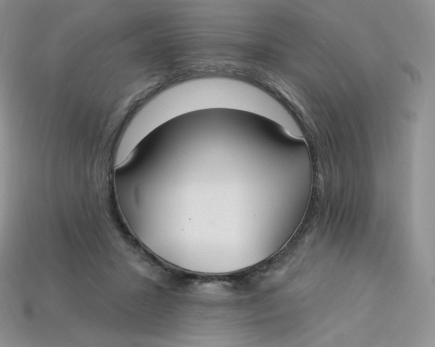X0000113920407200910151444