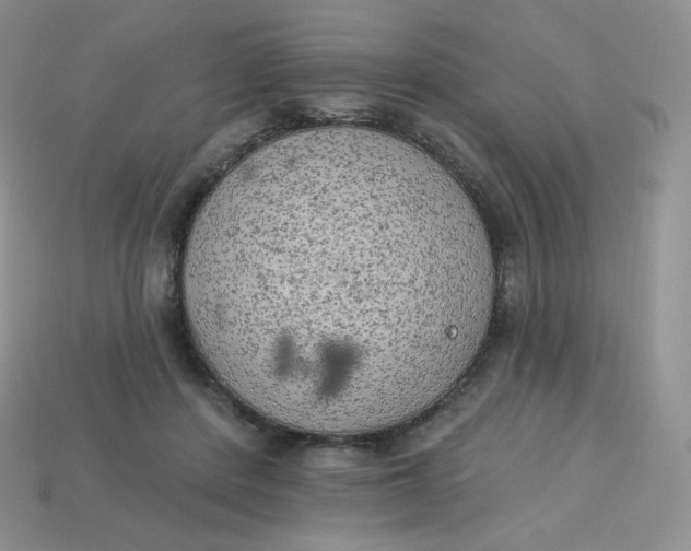 X0000113920408200910151444