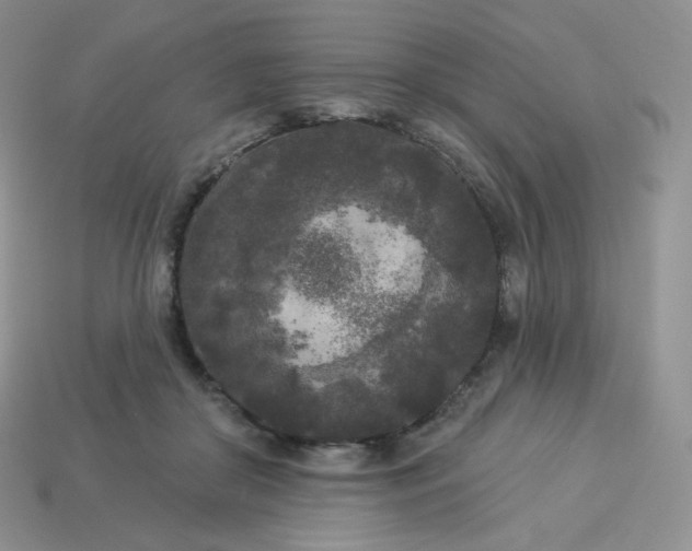 X0000113920410200910151444