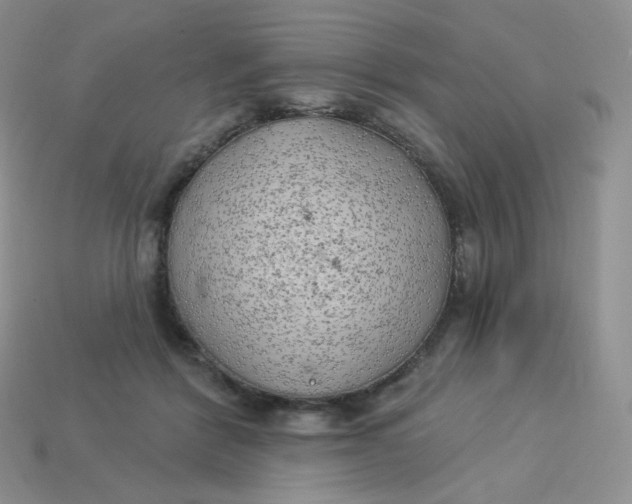 X0000113920412200910151444