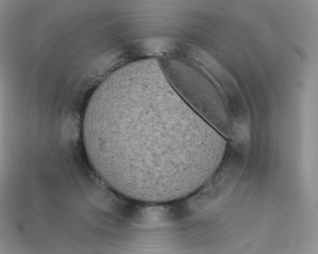 X0000113920413200910151444
