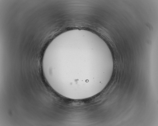 X0000113920415200910151444