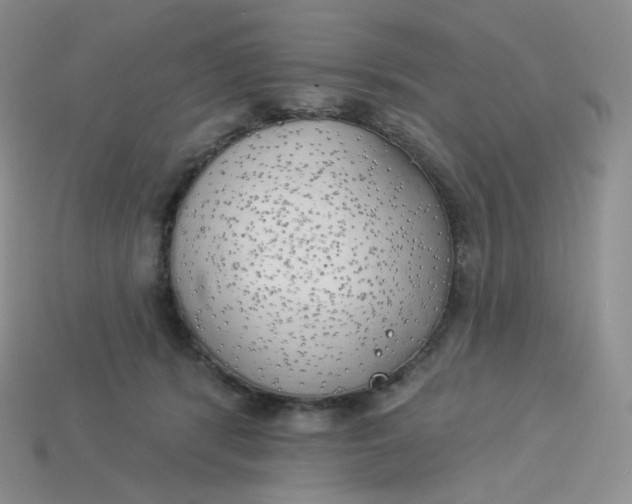 X0000113920416200910151444