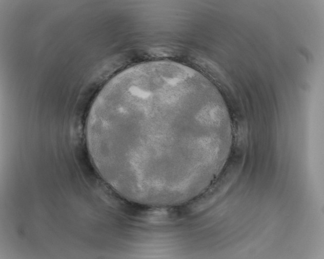 X0000113920418200910151444
