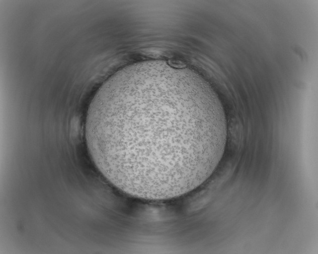 X0000113920420200910151444
