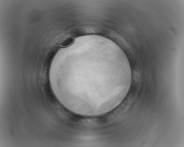 X0000113920422200910151443