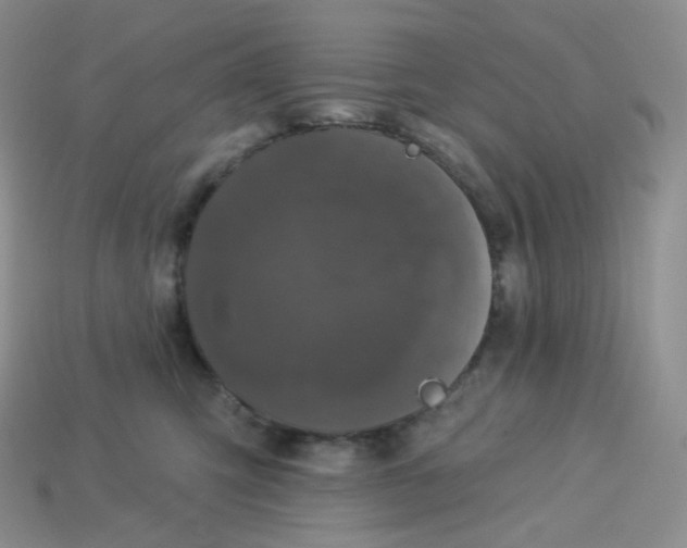 X0000113920423200910151443