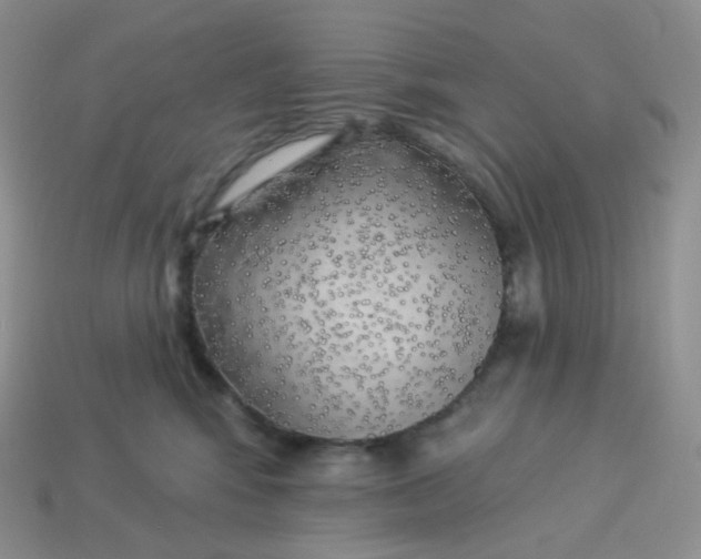X0000113920424200910151443