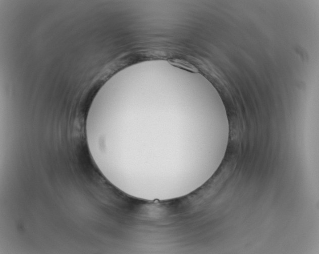 X0000113920425200910151443