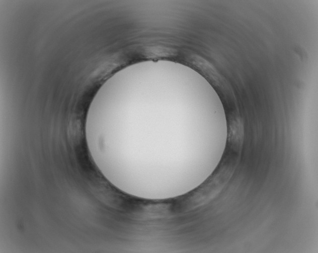 X0000113920426200910151443