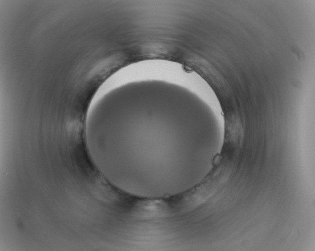X0000113920427200910151443
