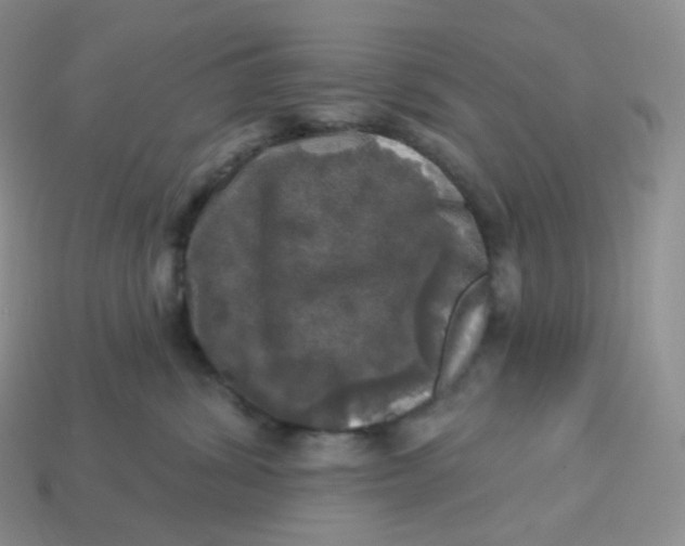 X0000113920428200910151443