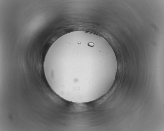 X0000113920429200910151443