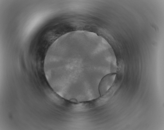 X0000113920430200910151443