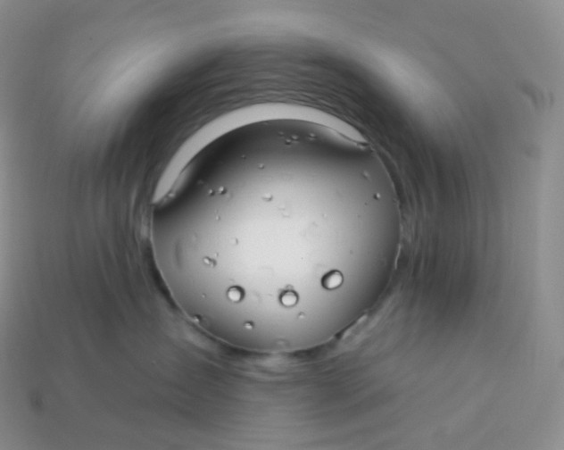 X0000113920431200910151443