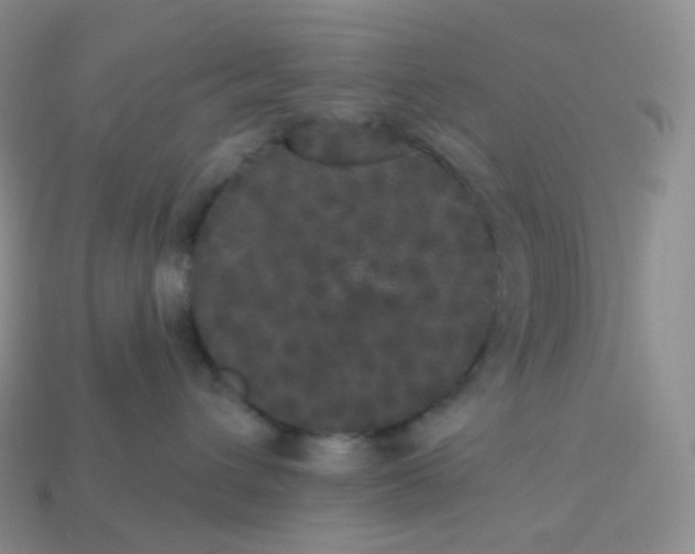 X0000113920432200910151443
