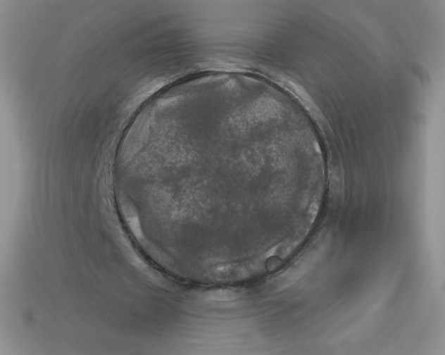 X0000113920433200910151442