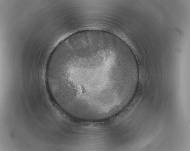X0000113920434200910151442