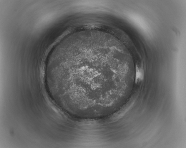 X0000113920435200910151442