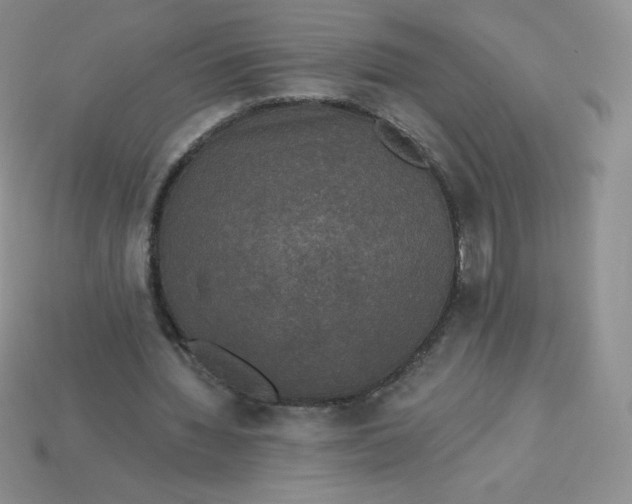 X0000113920436200910151442