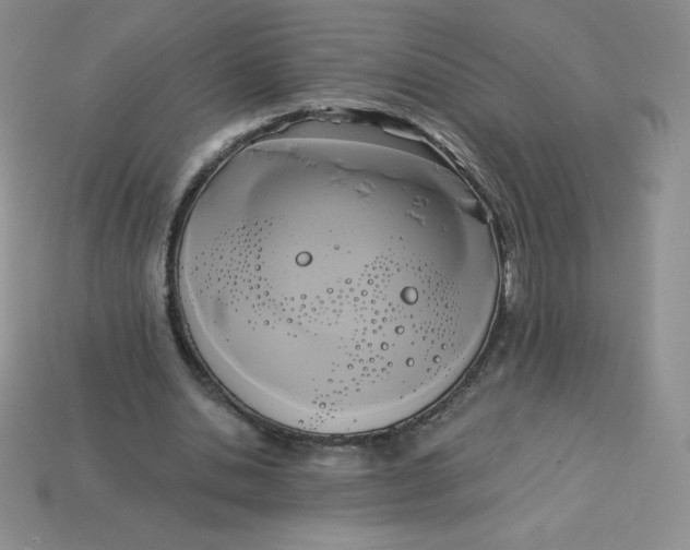 X0000113920438200910151442