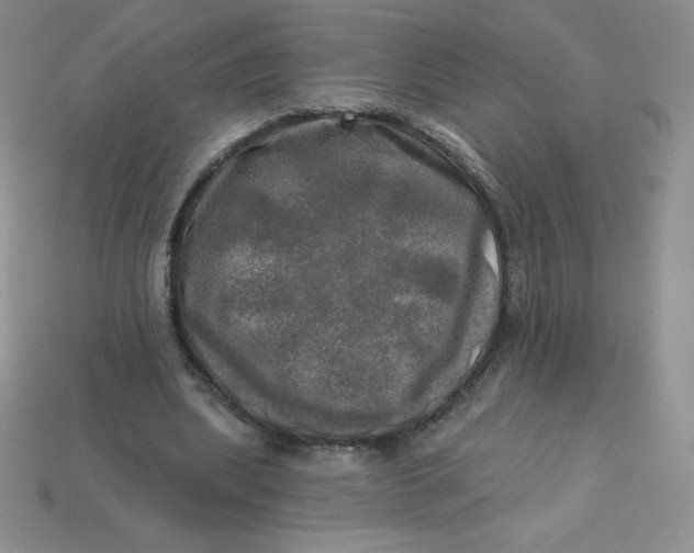 X0000113920439200910151442