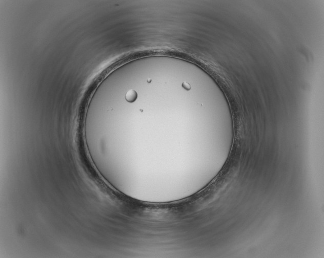 X0000113920440200910151442