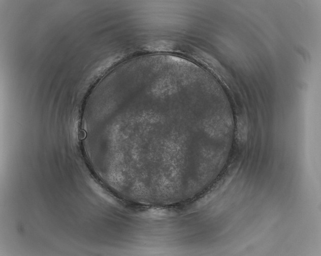 X0000113920441200910151442