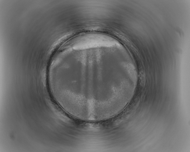 X0000113920442200910151443