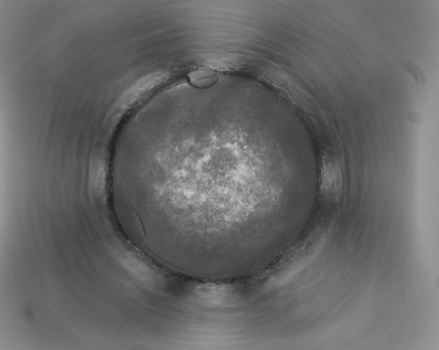 X0000113920444200910151443