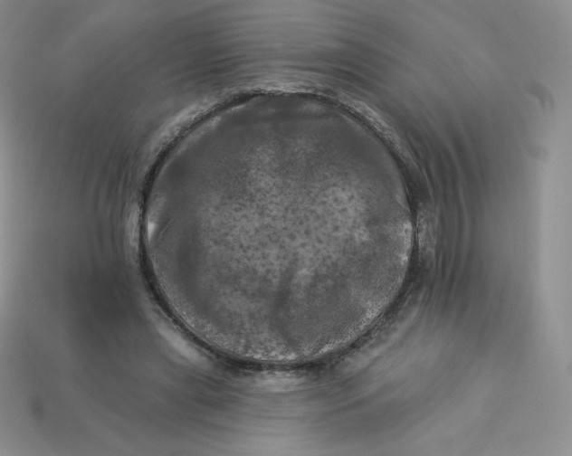 X0000113920445200910151443