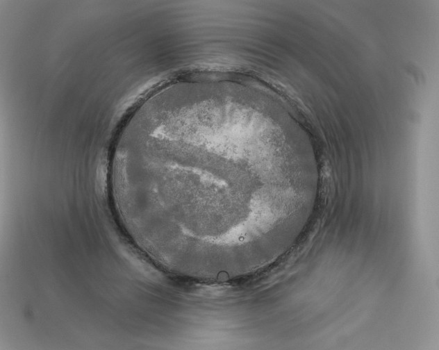 X0000113920446200910151443