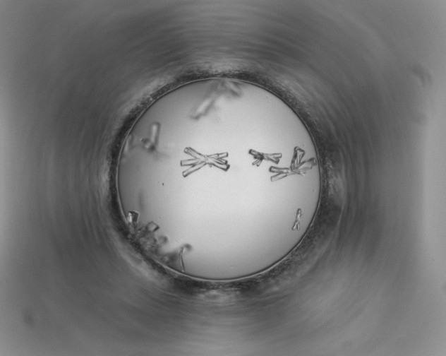 X0000113920447200910151443