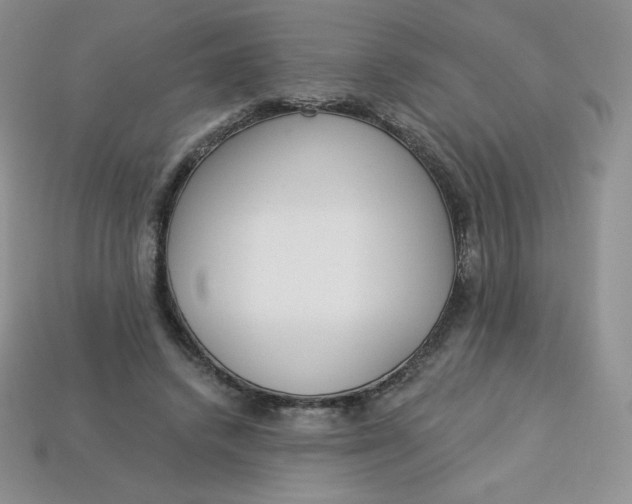X0000113920448200910151443