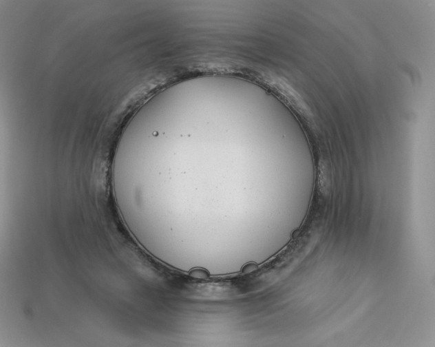 X0000113920449200910151443