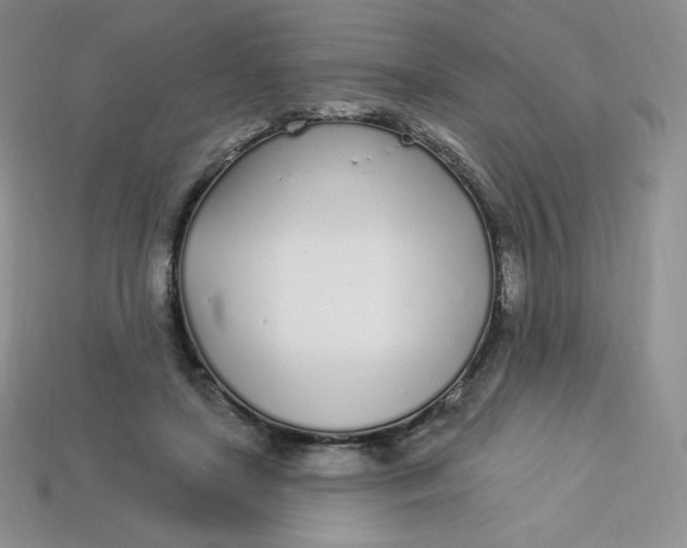 X0000113920451200910151443