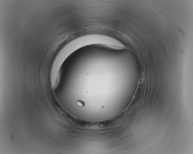 X0000113920452200910151443