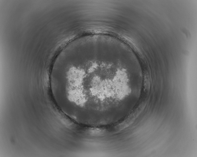 X0000113920453200910151443