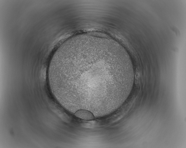 X0000113920454200910151443