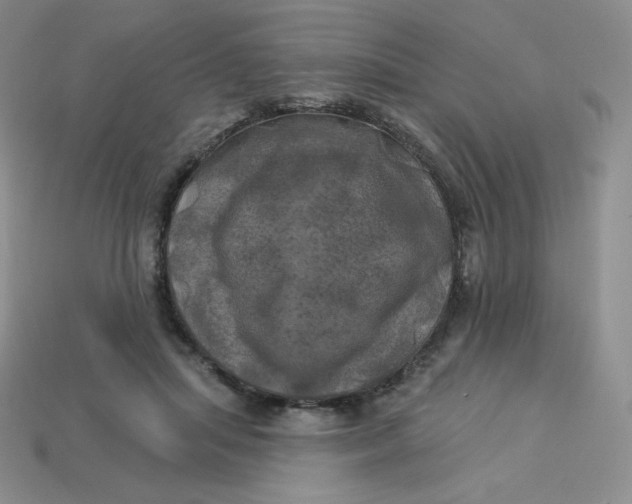 X0000113920455200910151443