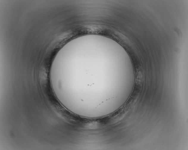 X0000113920456200910151443