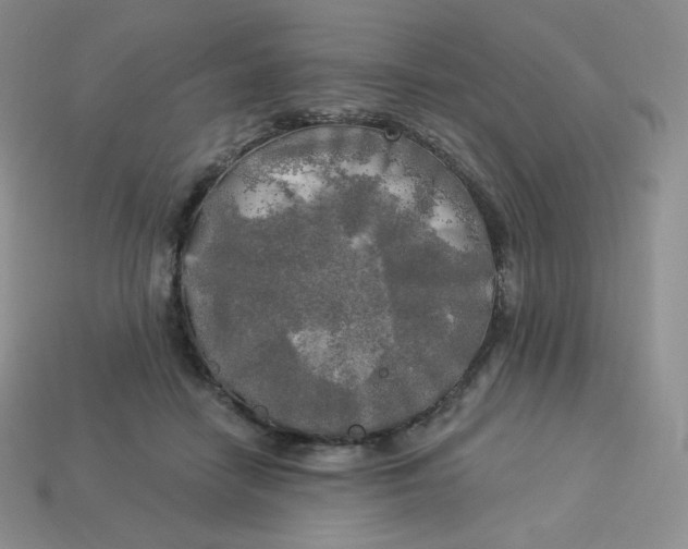 X0000113920458200910151443