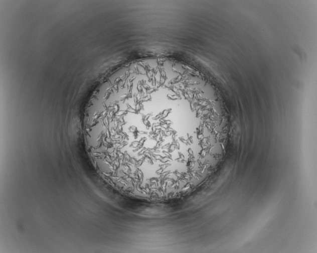 X0000113920459200910151443