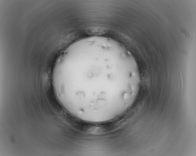 X0000113920460200910151443