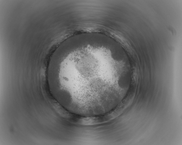 X0000113920461200910151443
