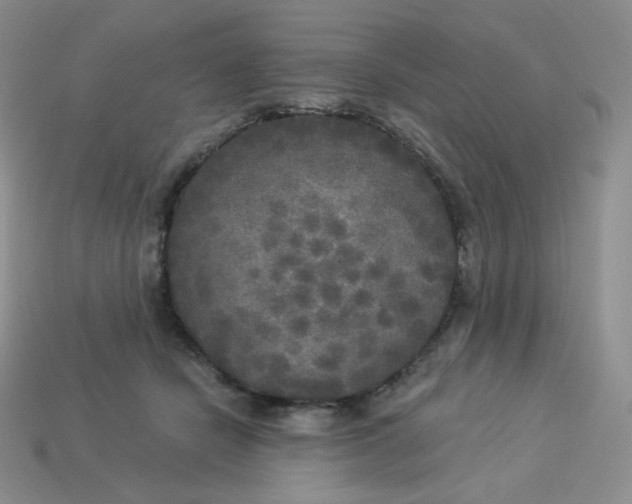 X0000113920462200910151443