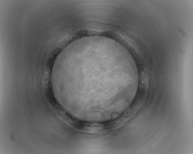 X0000113920463200910151443