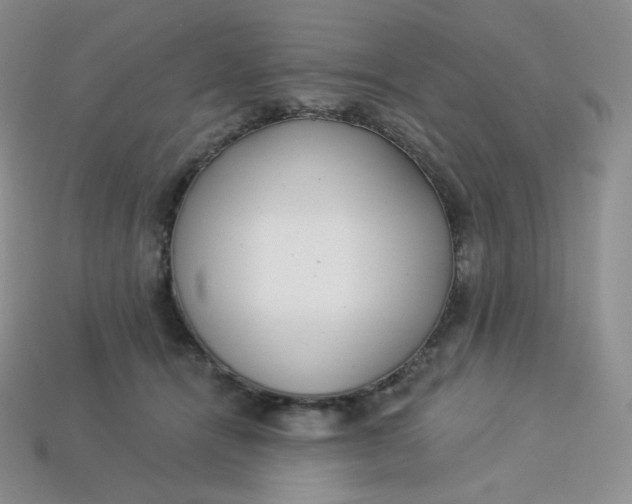 X0000113920464200910151443