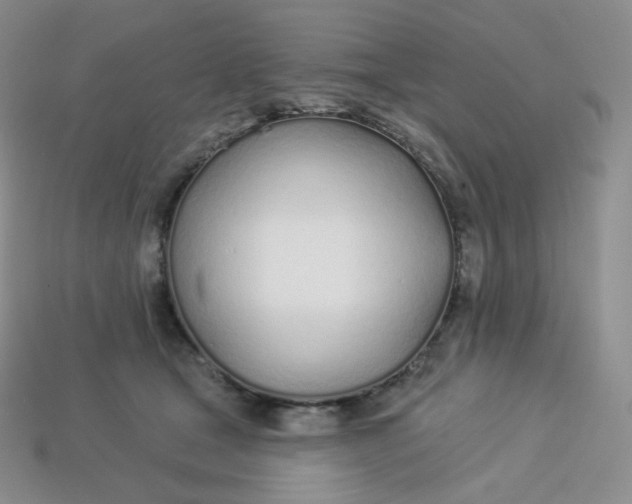 X0000113920465200910151443